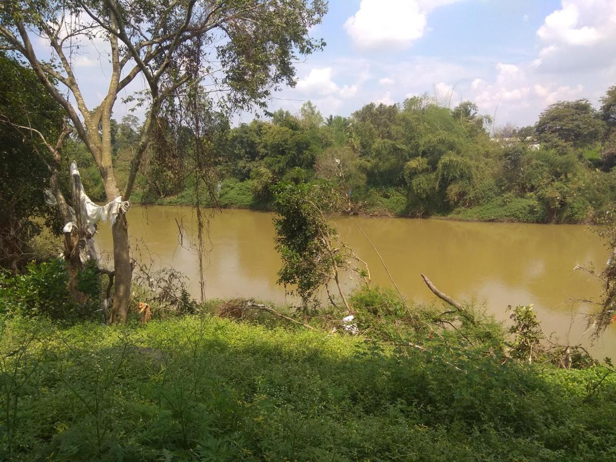 Dreams River View Homestay Coorg Kushālnagar 外观 照片