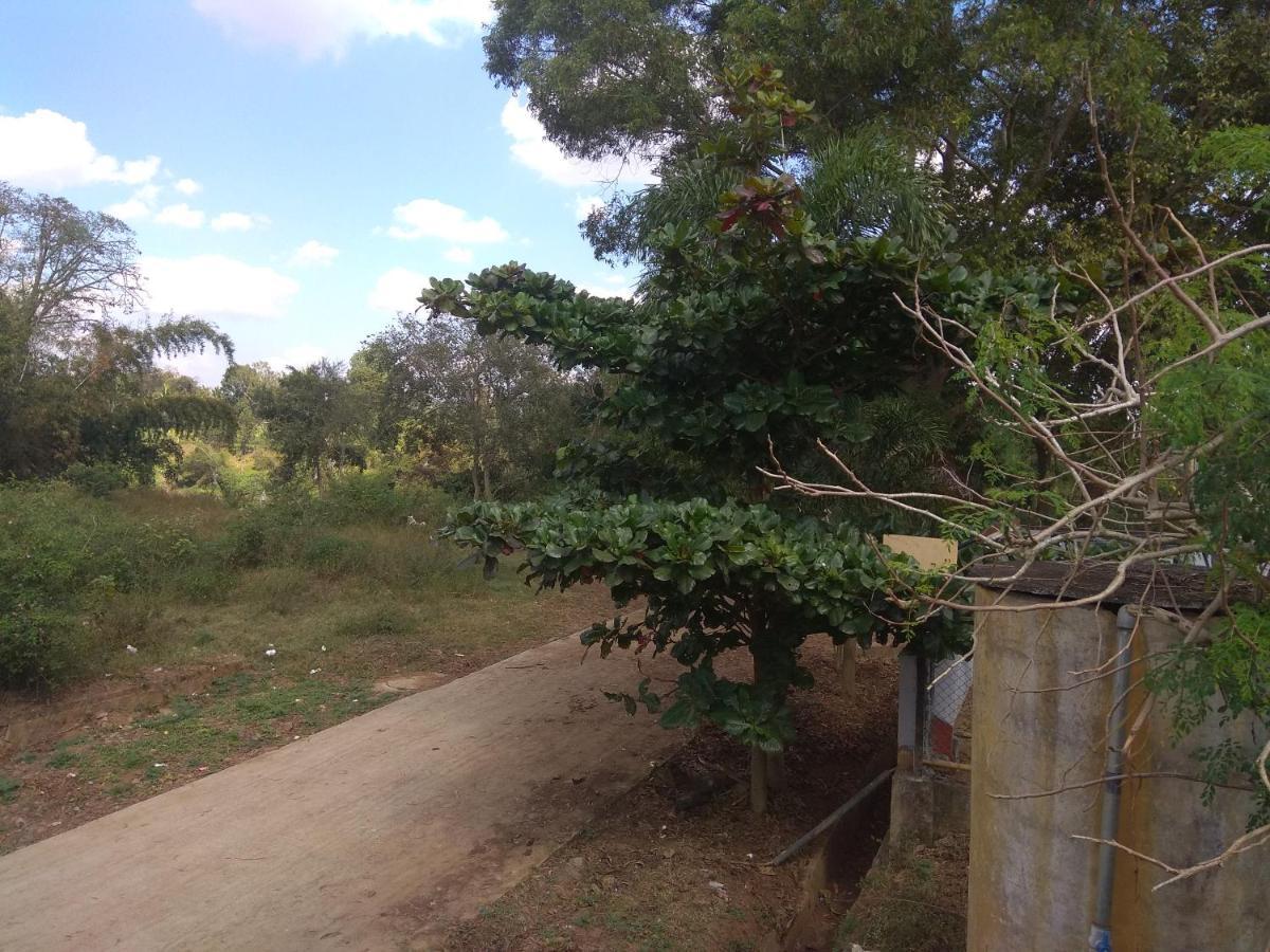 Dreams River View Homestay Coorg Kushālnagar 外观 照片